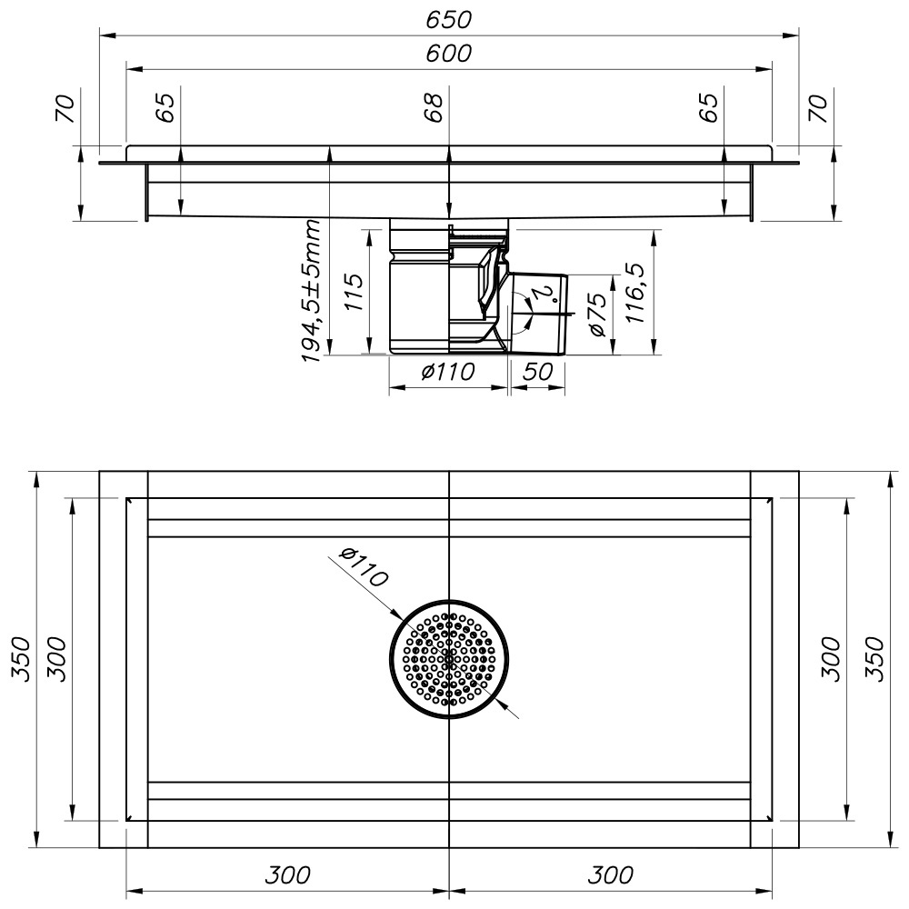 RVS vloerafvoergoot 600x300, zijdelingse afvoer - Afbeelding 2