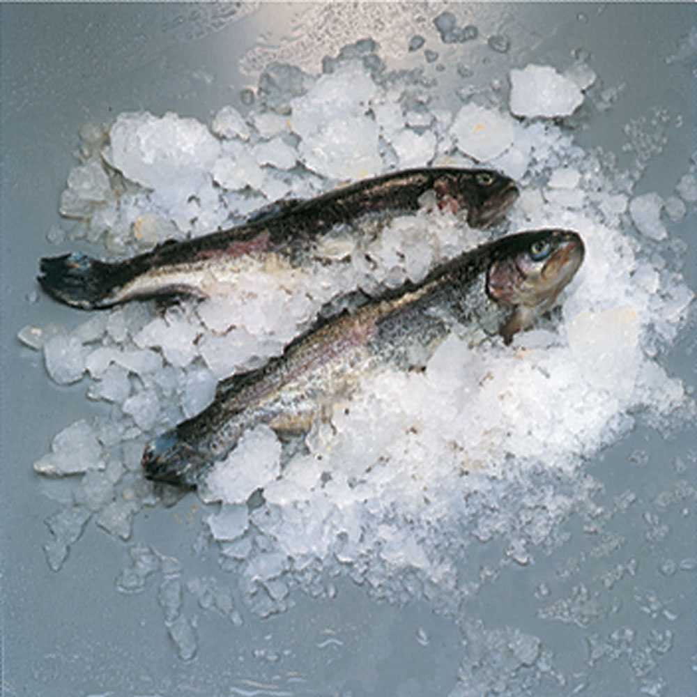 Vlokkenijsmachine 400 kg zonder opslag - WATER - Afbeelding 4