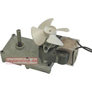 Motor Gu Mod CEYLAN / Gurden